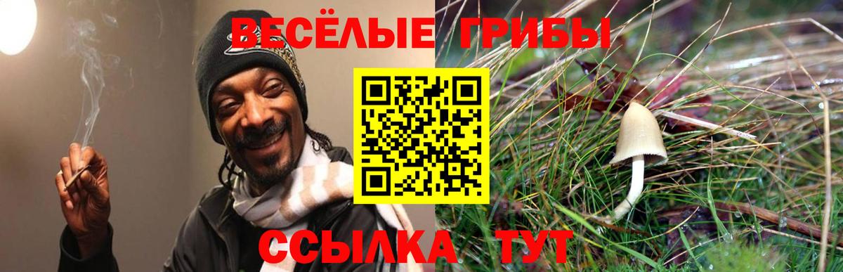 Псилоцибиновые грибы прущие грибы  Вход с VPN  Лесосибирск 